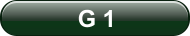 G 1