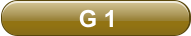 G 1